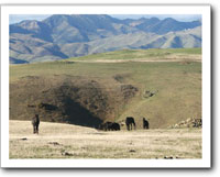 dry country